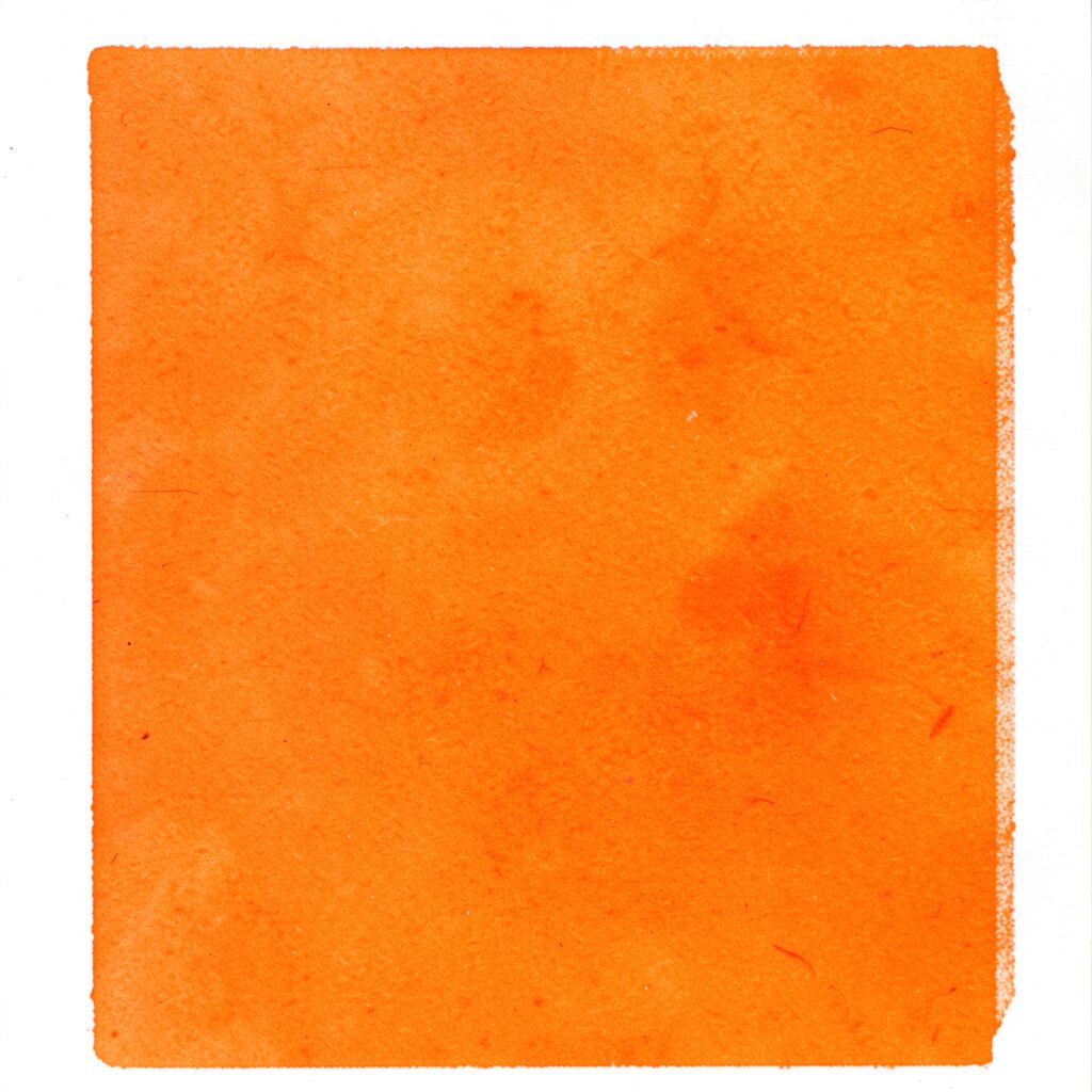 A small two-ink risograph print in rust and charcoal, showing a delicate portrait study with soft tonal transitions.