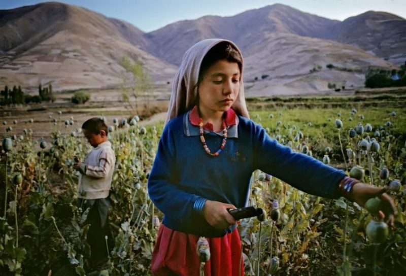 Steve Mccurry Born 1950 The Women Gallery 